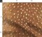 Faux Deer Hide Fawn Spots Woodland Animal Wildlife Custom Printed Fabric by Spoonflower Various Fabrics by the Yard or Fat Quarter